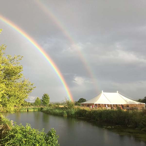 Landscape and Paddocks